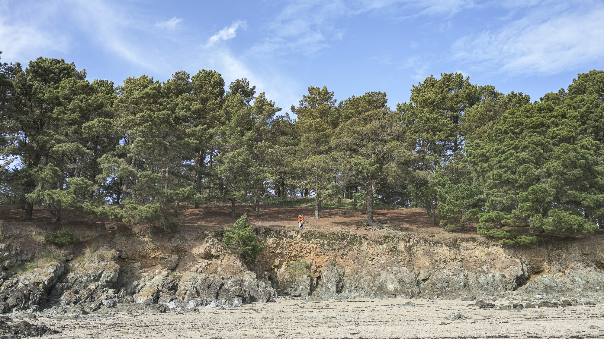 seance-couple-paimpol-justine-etienne-plage-foret-pointe-guilben-photographe-bretagne